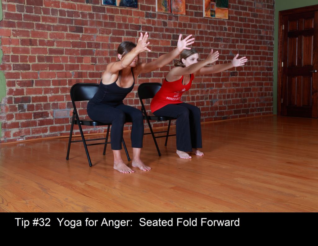 tip-32-4-seated-fold-forward-version2
